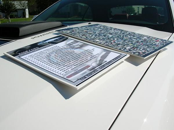 Ponies on The Run!-dscn3958.jpg