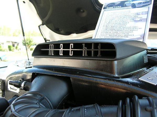 Ponies on The Run!-dscn3963.jpg