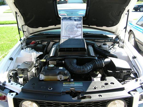 Ponies on The Run!-dscn3960.jpg