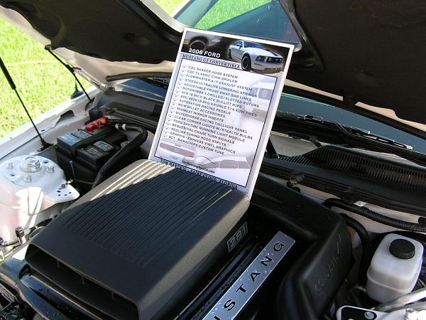 Ponies on The Run!-dscn3961.jpg