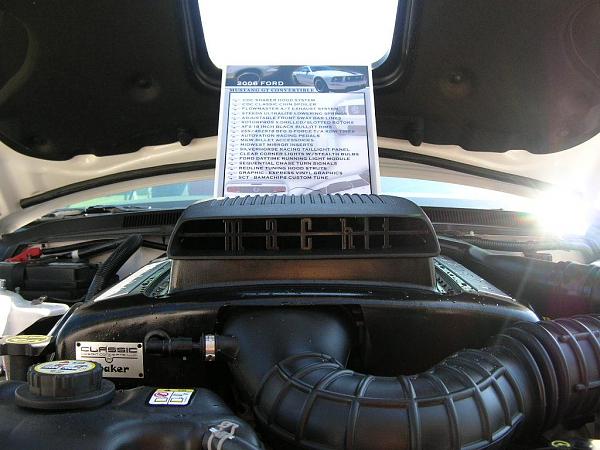 Ponies on The Run!-dscn3962.jpg