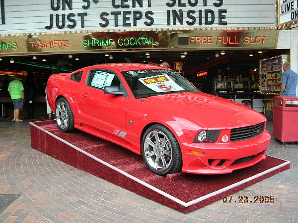 Ponies on The Run!-dscn0663.jpg