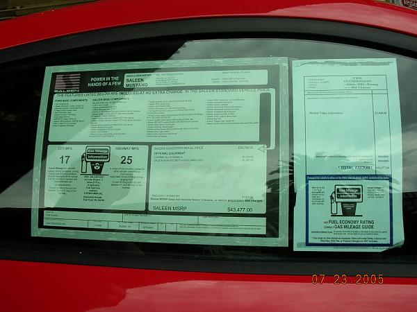 Ponies on The Run!-dscn0665.jpg