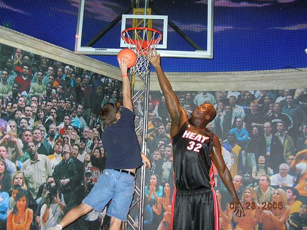 Ponies on The Run!-dscn0708.jpg