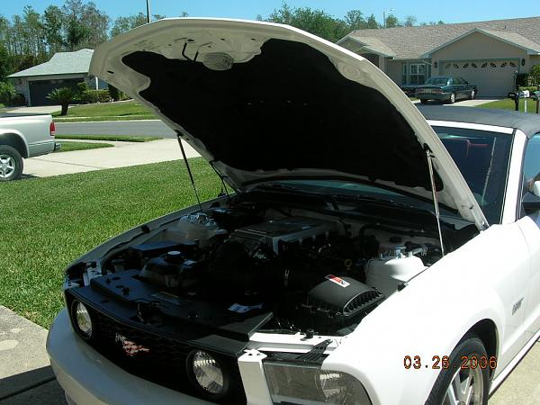 Ponies on The Run!-dscn2819.jpg