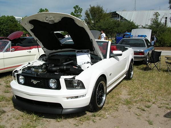 Ponies on The Run!-dscn4010.jpg