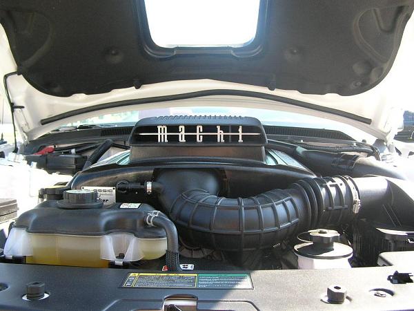 Ponies on The Run!-dscn4172.jpg