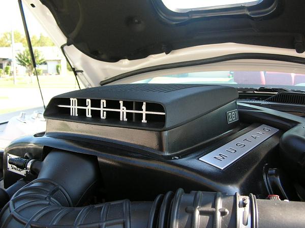 Ponies on The Run!-dscn4173.jpg