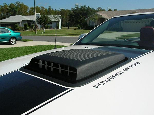 Ponies on The Run!-dscn4176.jpg