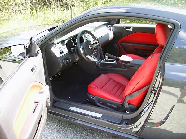 Ponies on The Run!-picture-car-002.jpg