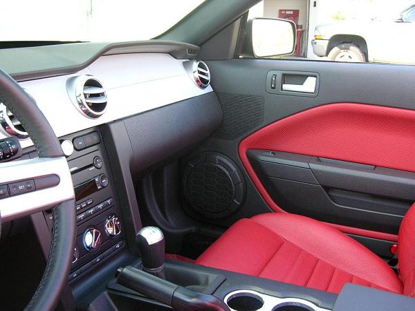 Ponies on The Run!-dscn4200.jpg