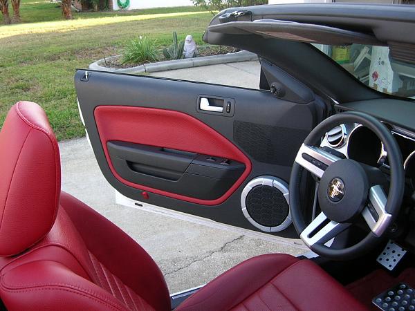 Ponies on The Run!-dscn4210.jpg