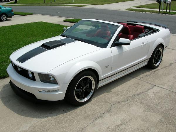 Ponies on The Run!-dscn3701.jpg