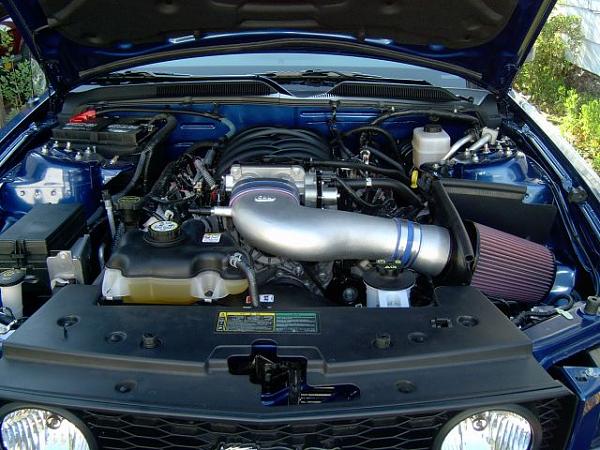 Ponies on The Run!-vb_c-l.jpg