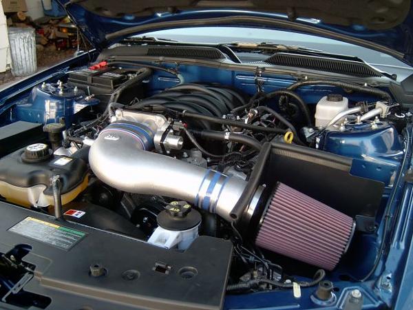 Ponies on The Run!-vb_c-l2.jpg