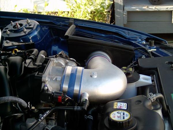 Ponies on The Run!-vb_c-l3.jpg