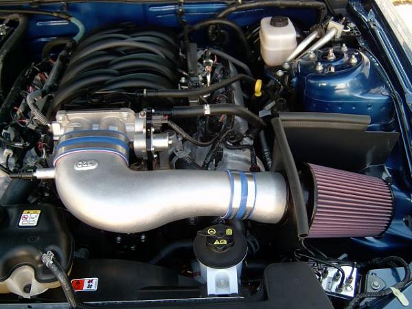 Ponies on The Run!-vb_c-l4.jpg