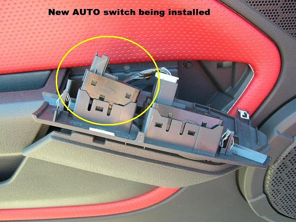 Ponies on The Run!-dscn4181.jpg