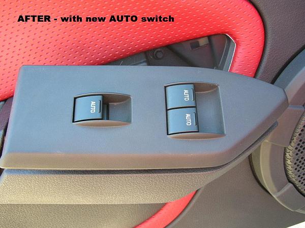 Ponies on The Run!-dscn4184.jpg