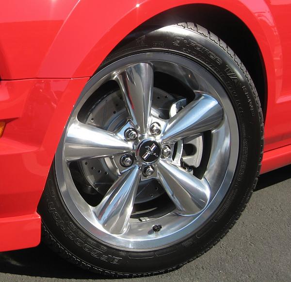 Ponies on The Run!-rotor.jpg