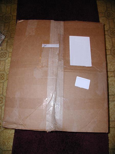 Ponies on The Run!-shipping-box.jpg