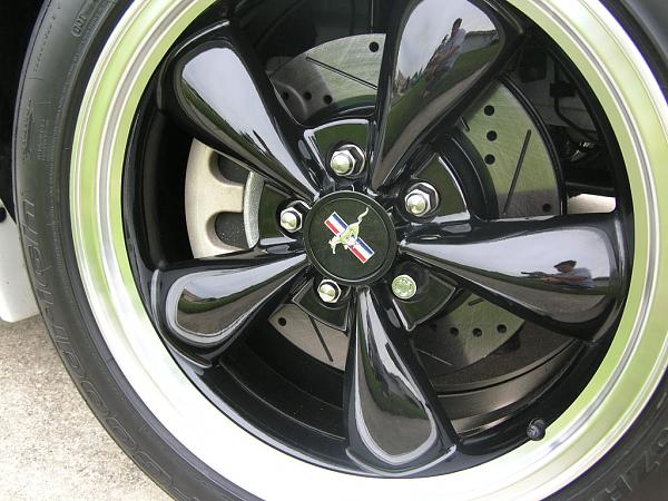 Ponies on The Run!-dscn4244.jpg