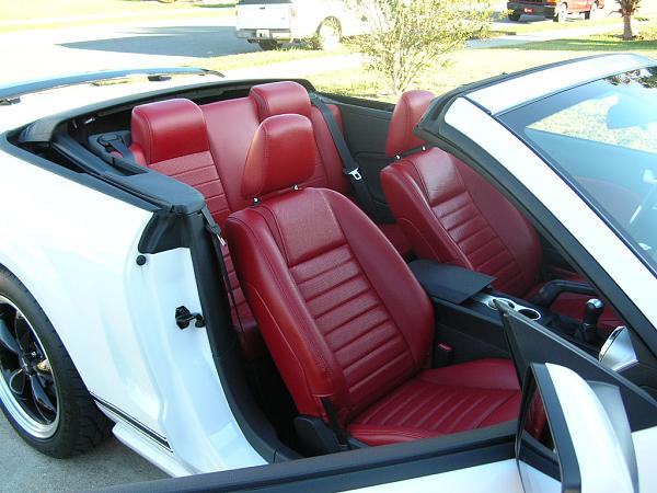 Ponies on The Run!-dscn4281.jpg