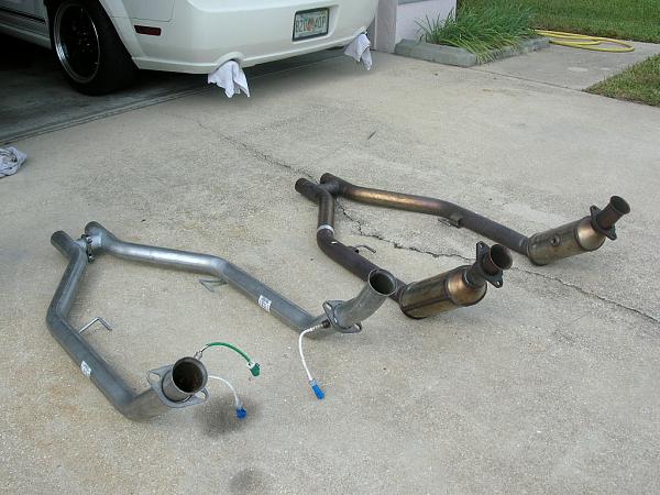 Ponies on The Run!-dscn4364.jpg