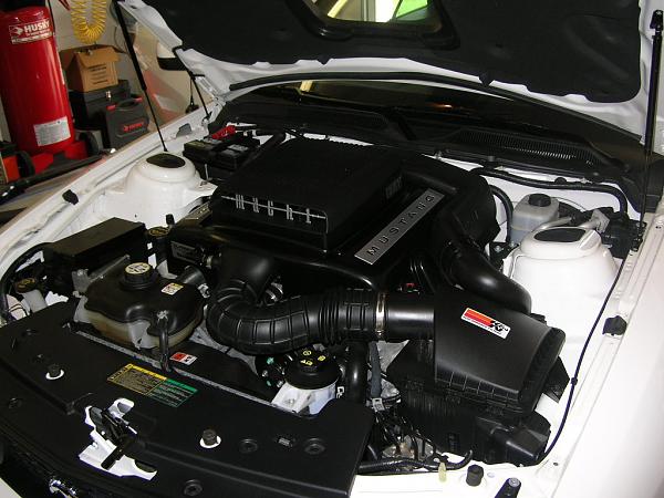 Ponies on The Run!-dscn4371.jpg