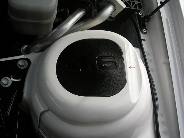 Ponies on The Run!-dscn4400.jpg