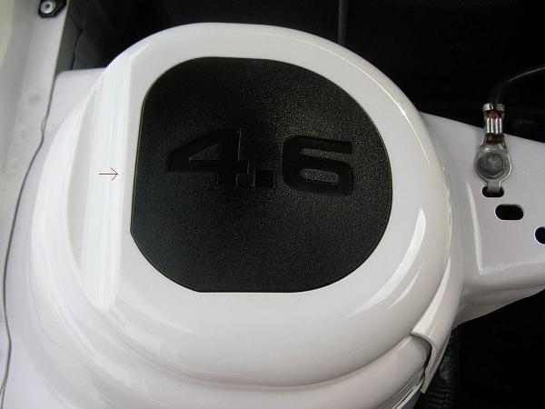 Ponies on The Run!-dscn4402.jpg