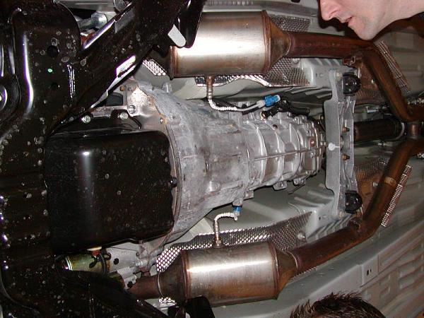 Ponies on The Run!-p1010047.jpg