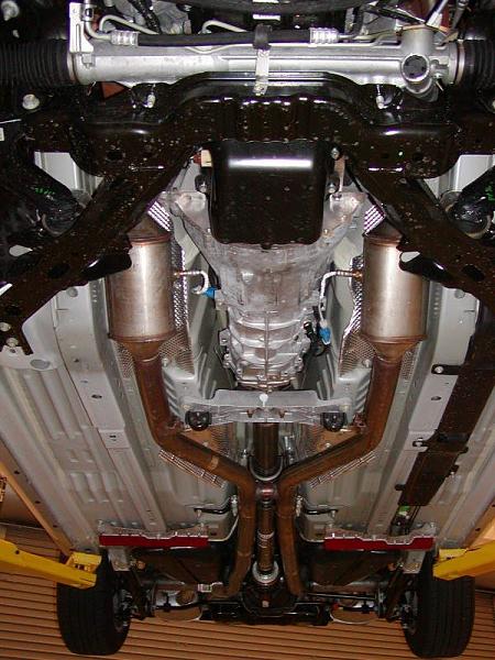 Ponies on The Run!-p1010062.jpg