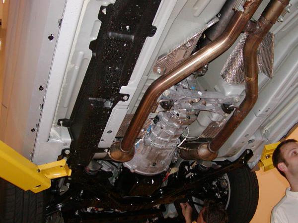 Ponies on The Run!-p1010055.jpg