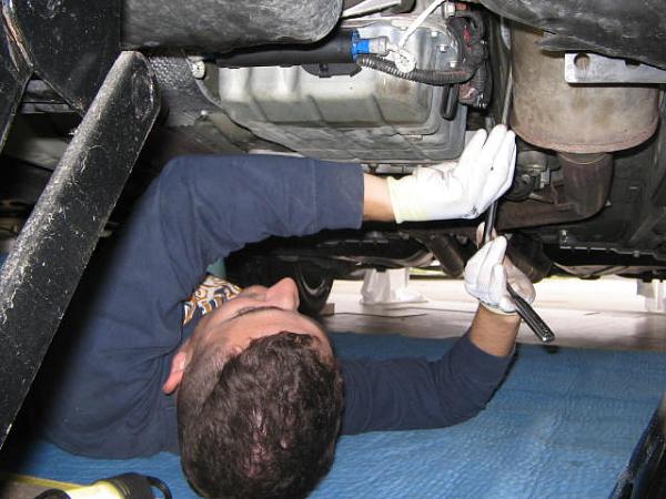 Ponies on The Run!-img_2373.jpg