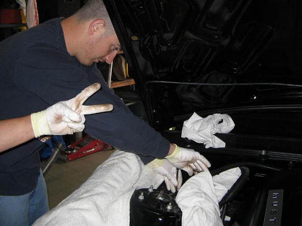 Ponies on The Run!-img_2376.jpg