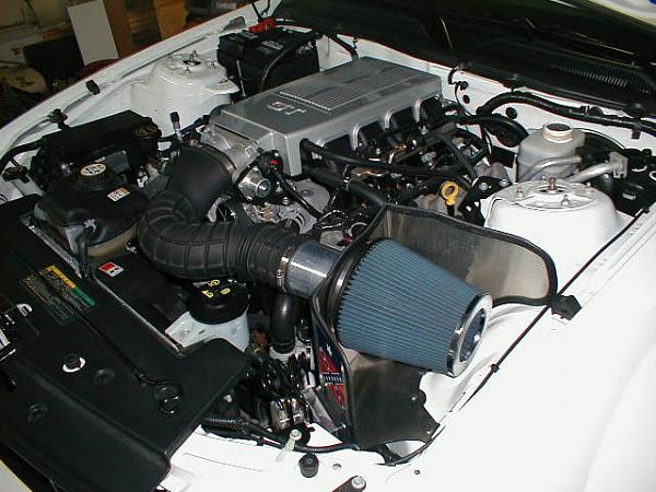 Ponies on The Run!-1202061.jpg