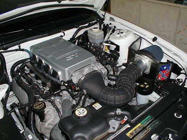 Ponies on The Run!-1202062-1-.jpg