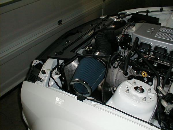 Ponies on The Run!-1202063-2-.jpg