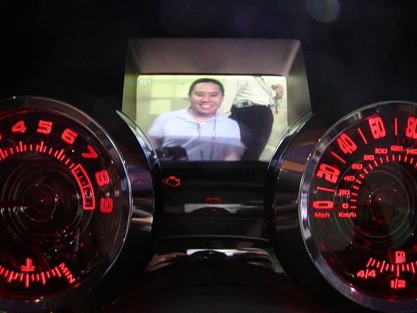 Ponies on The Run!-q1010148.jpg