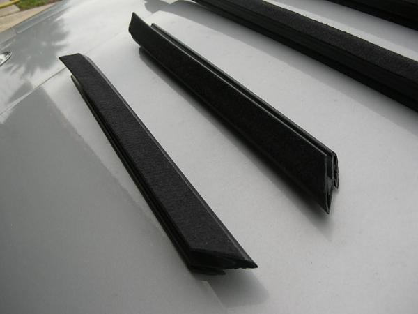 Ponies on The Run!-dscn4523.jpg