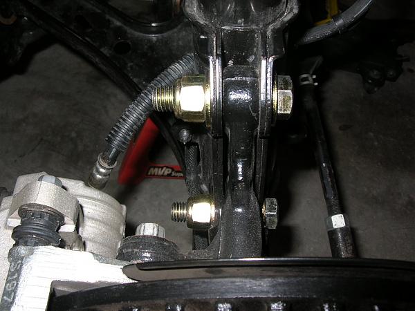 Ponies on The Run!-dscn4643.jpg