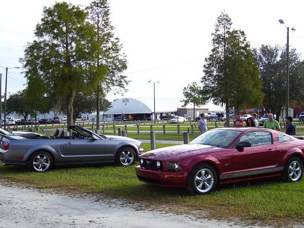 Ponies on The Run!-100_0340.jpg