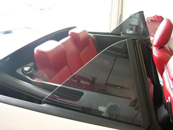 Ponies on The Run!-dscn4652.jpg