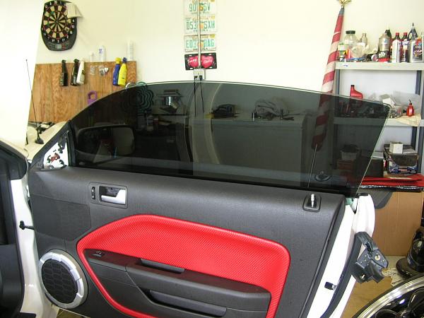 Ponies on The Run!-dscn4654.jpg