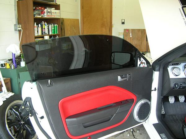 Ponies on The Run!-dscn4655.jpg