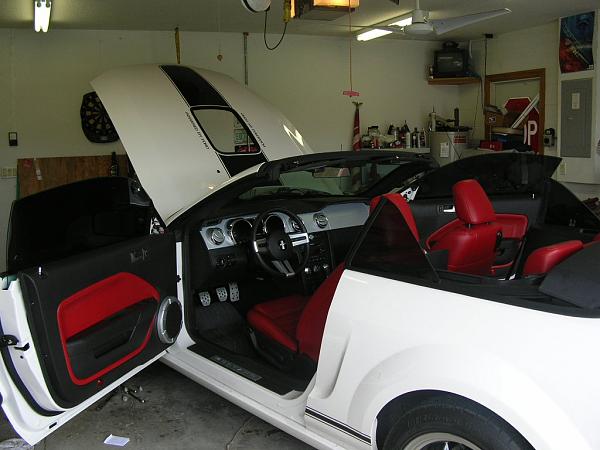 Ponies on The Run!-dscn4656.jpg