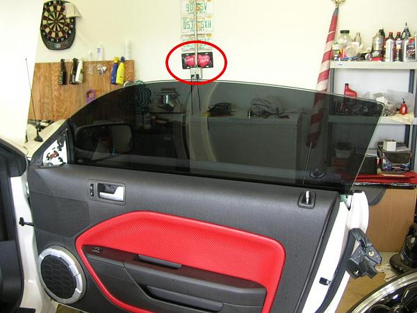 Ponies on The Run!-tommy_shelly.jpg