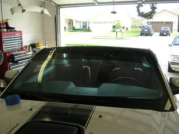 Ponies on The Run!-dscn4659.jpg