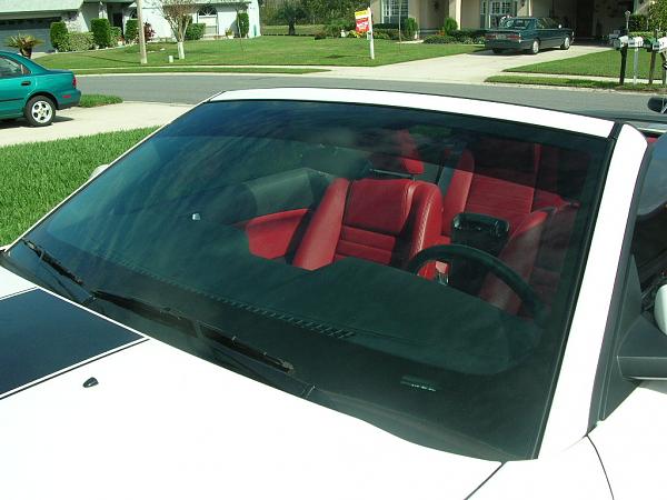 Ponies on The Run!-dscn4660.jpg